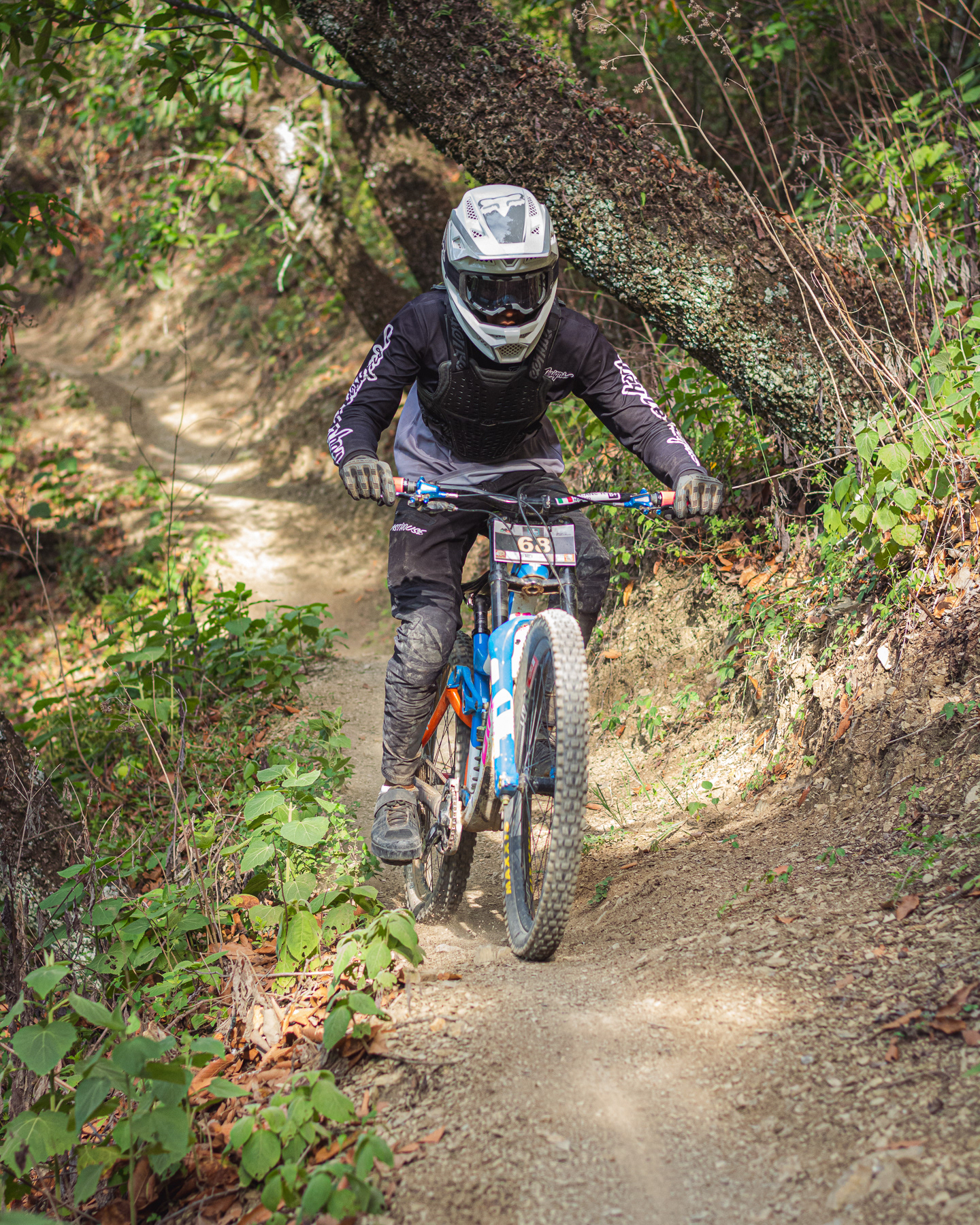 Bikefest — pieza 5
