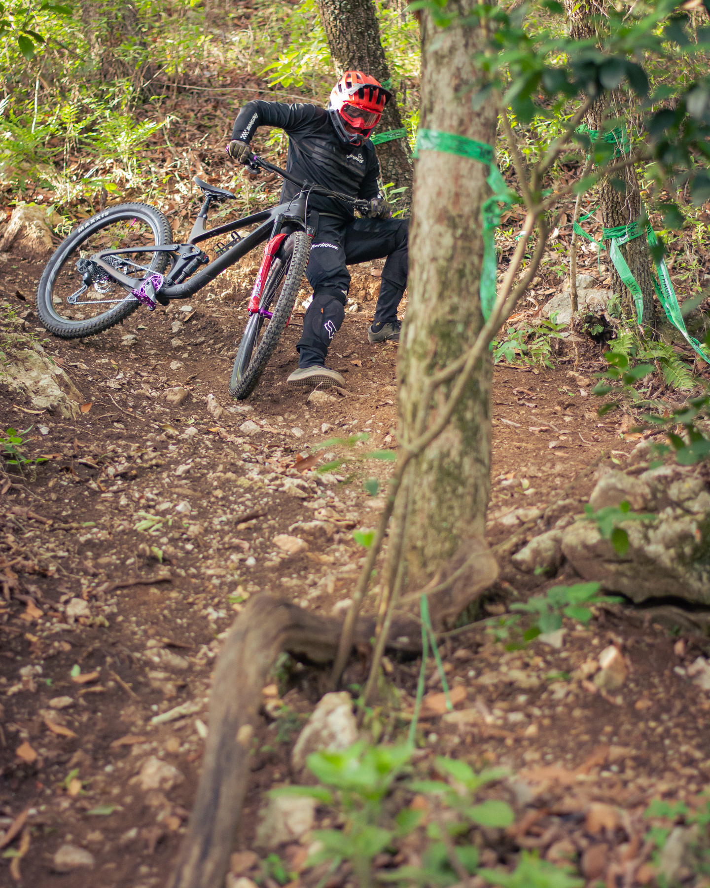 Bikefest — pieza 15